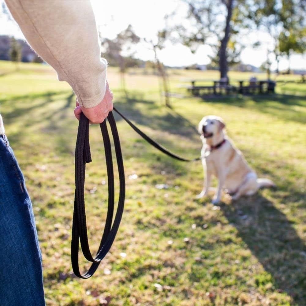 Person holding a black dog leash with a dog sitting on grass in the background