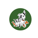 Natural Born Pets