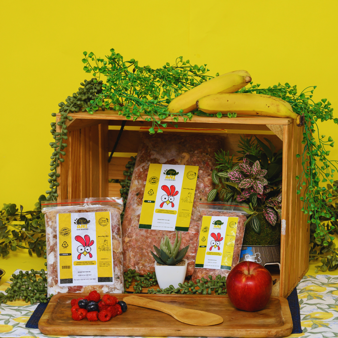 Packaged dog food labeled 'Kaesha's free Range Chunky Chicken Dinner' displayed in front of a yellow background with plants and a wooden crate.