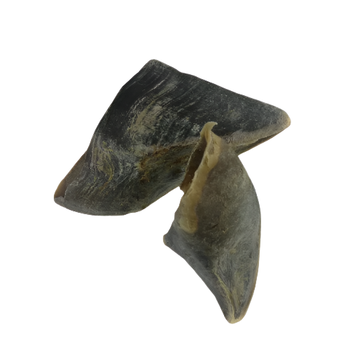 A pair of air-dried cow hooves intended as a natural pet treat.