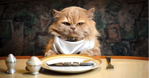 Why Are Cats Fussy Eaters You re Not Alone Natural Born Pets