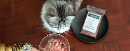 How Much Shall I Feed My Dog Cat Puppy or Kitten Natural Born