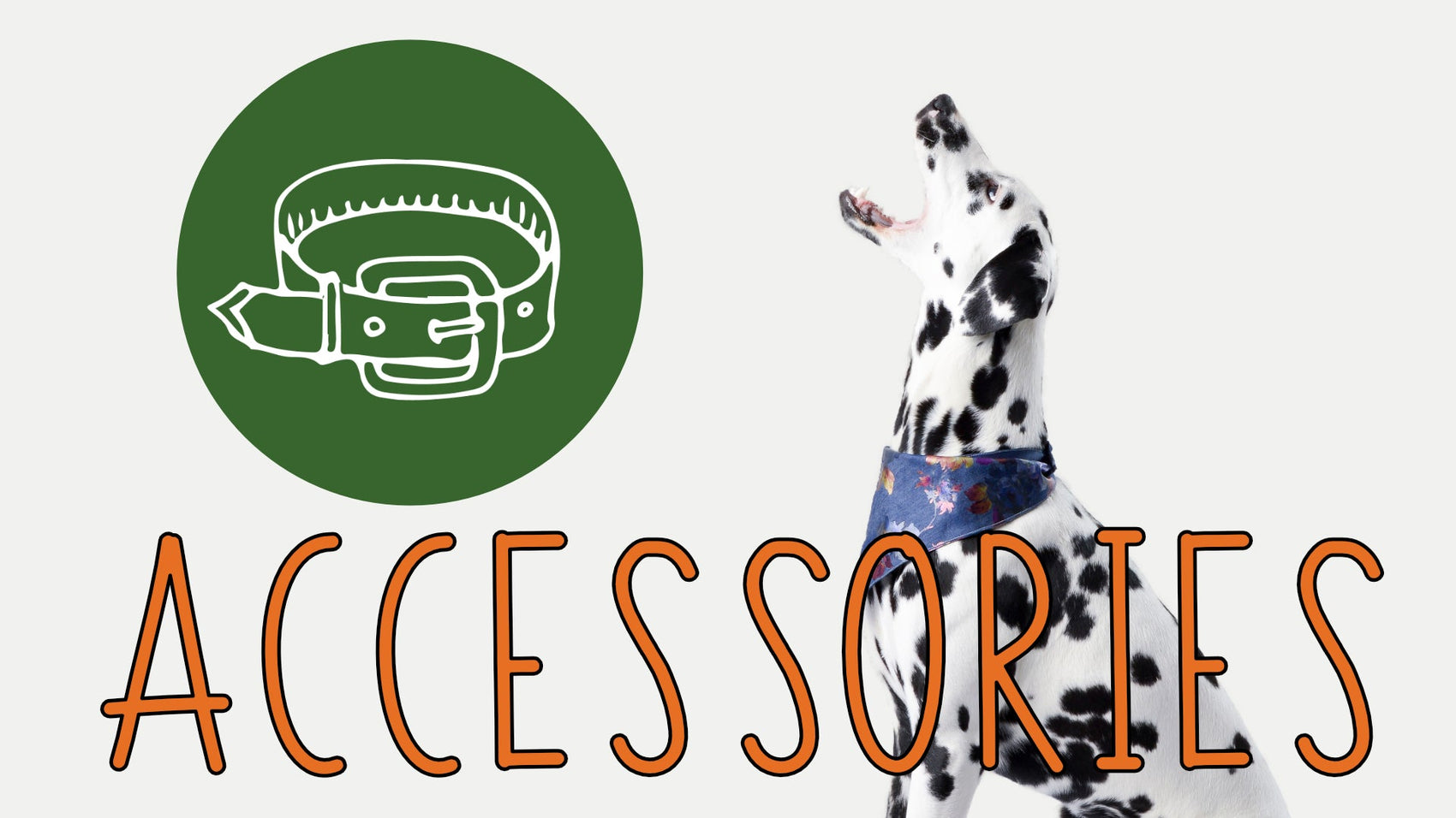 Accessories - NBP