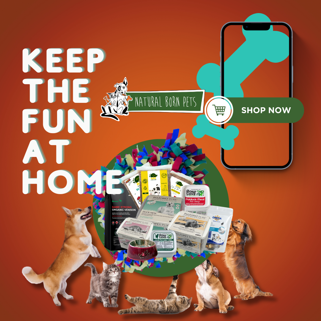Your Favourites! - NBP – Natural Born Pets