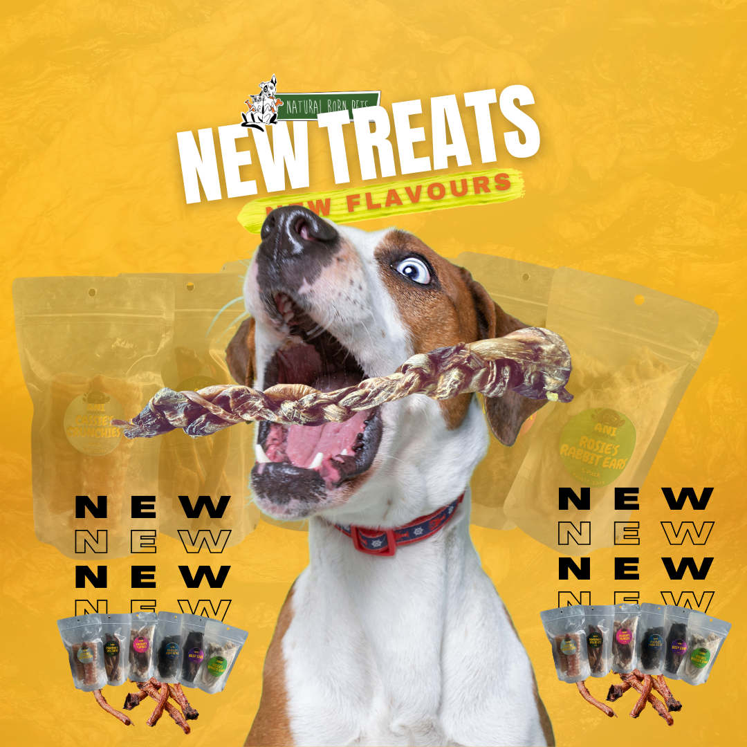New Treats – Natural Born Pets