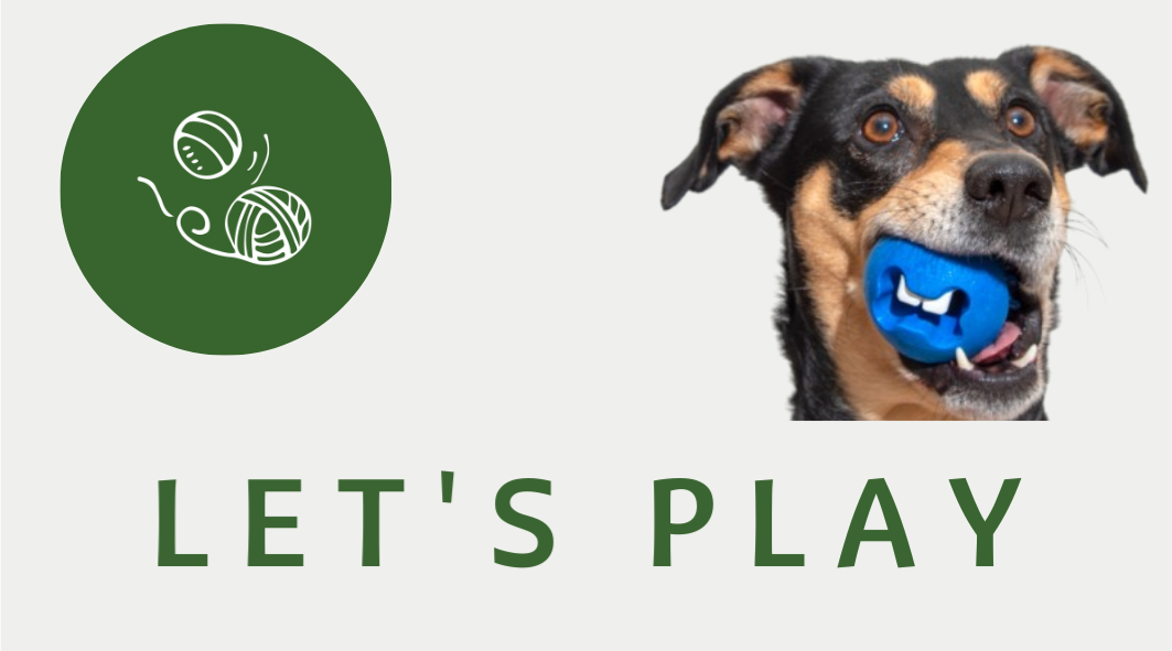Let's Play - NBP