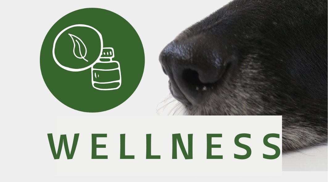 Wellness - NBP