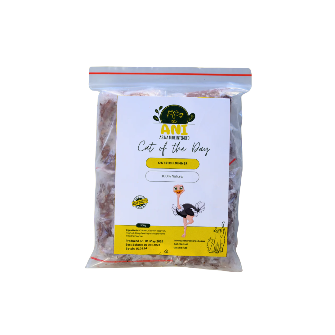 Package of 'Cat of the Day' cat food with a visible brand logo on a white background
