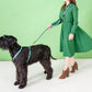 Rogz Collar - Mint Dog Accessories