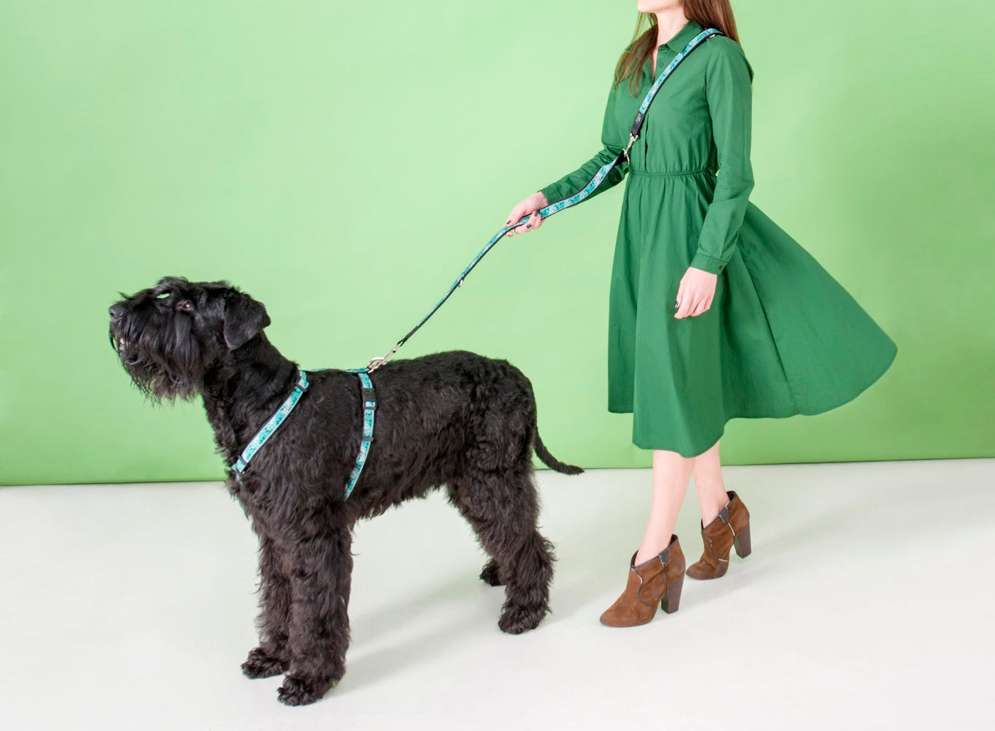 Rogz Collar - Mint Dog Accessories