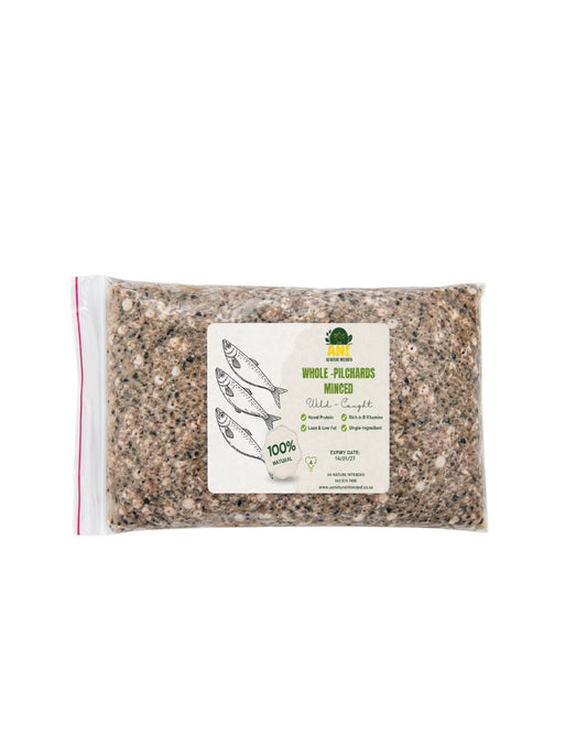 Pilchards 1kg