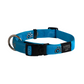 Rogz Collar - Turquoise Paw Large Accessories