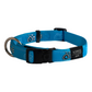 Rogz Collar - Turquoise Paw Extra Large Accessories