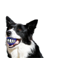 Rogz Grinz Treat Ball