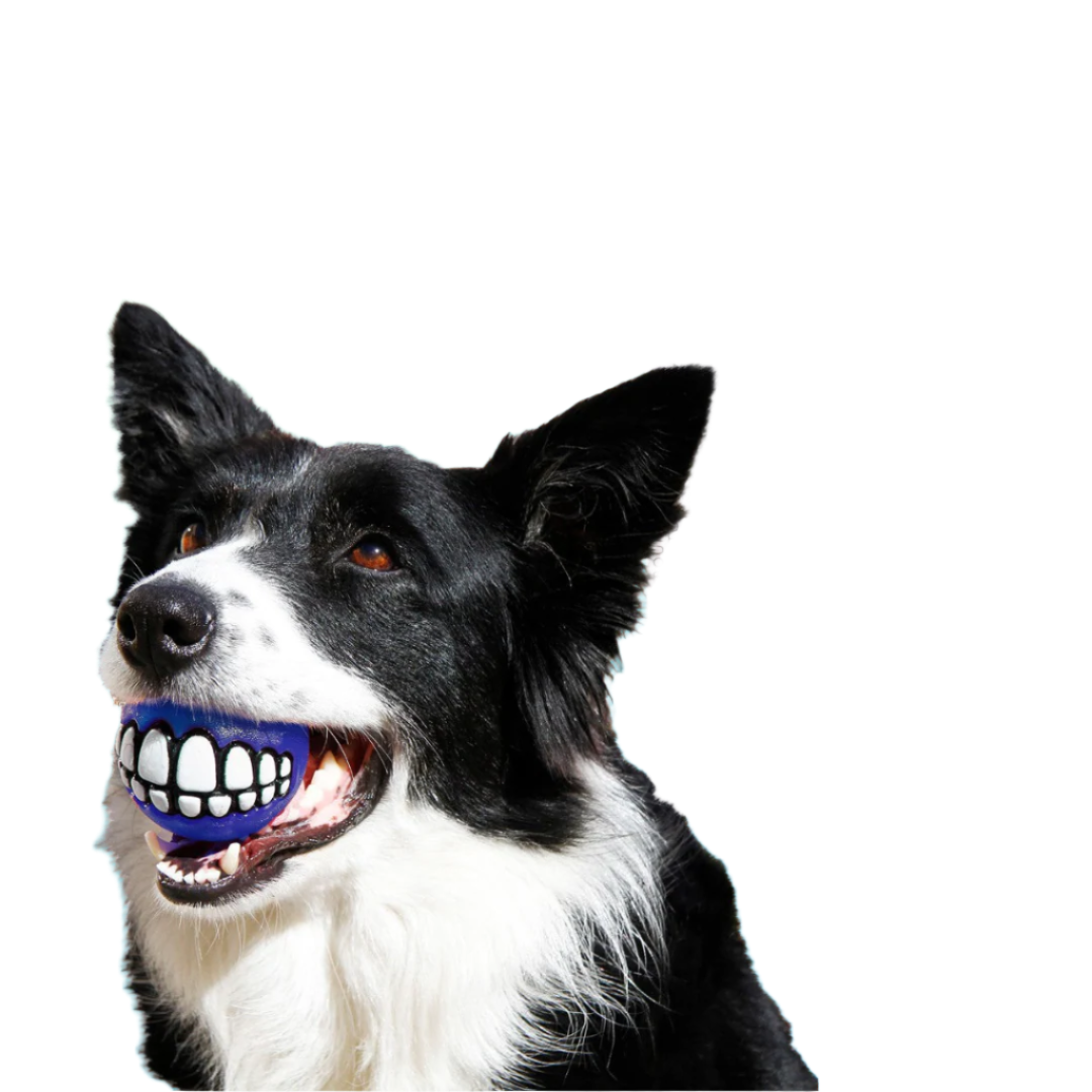 Rogz Grinz Treat Ball
