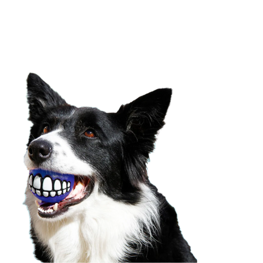 Rogz Grinz Treat Ball