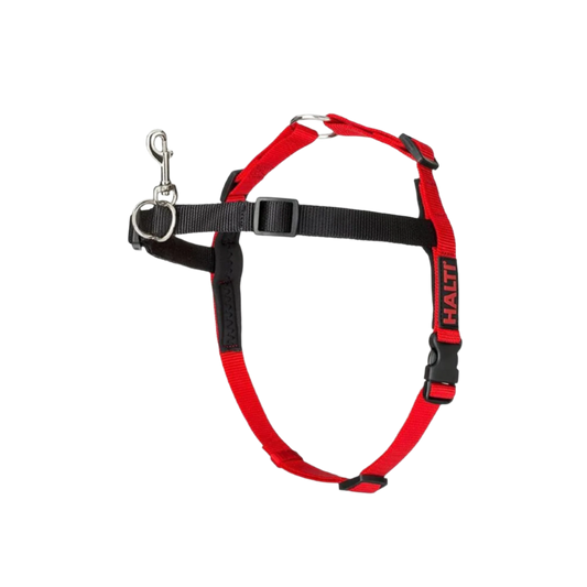Halti Front Control Harness