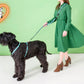 Rogz Collar - Mint Dog Accessories