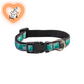 Rogz Collar - Mint Dog Large Accessories