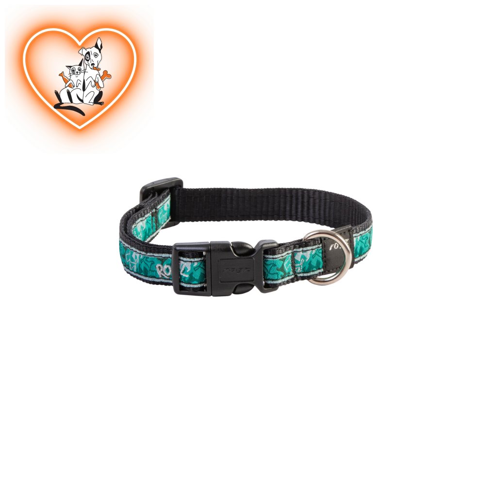 Rogz Collar - Mint Dog Medium Accessories