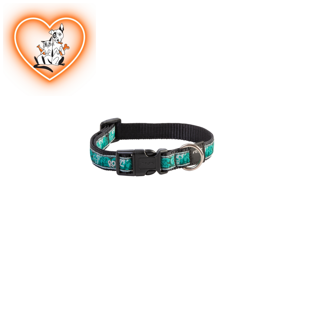 Rogz Collar - Mint Dog Small Accessories