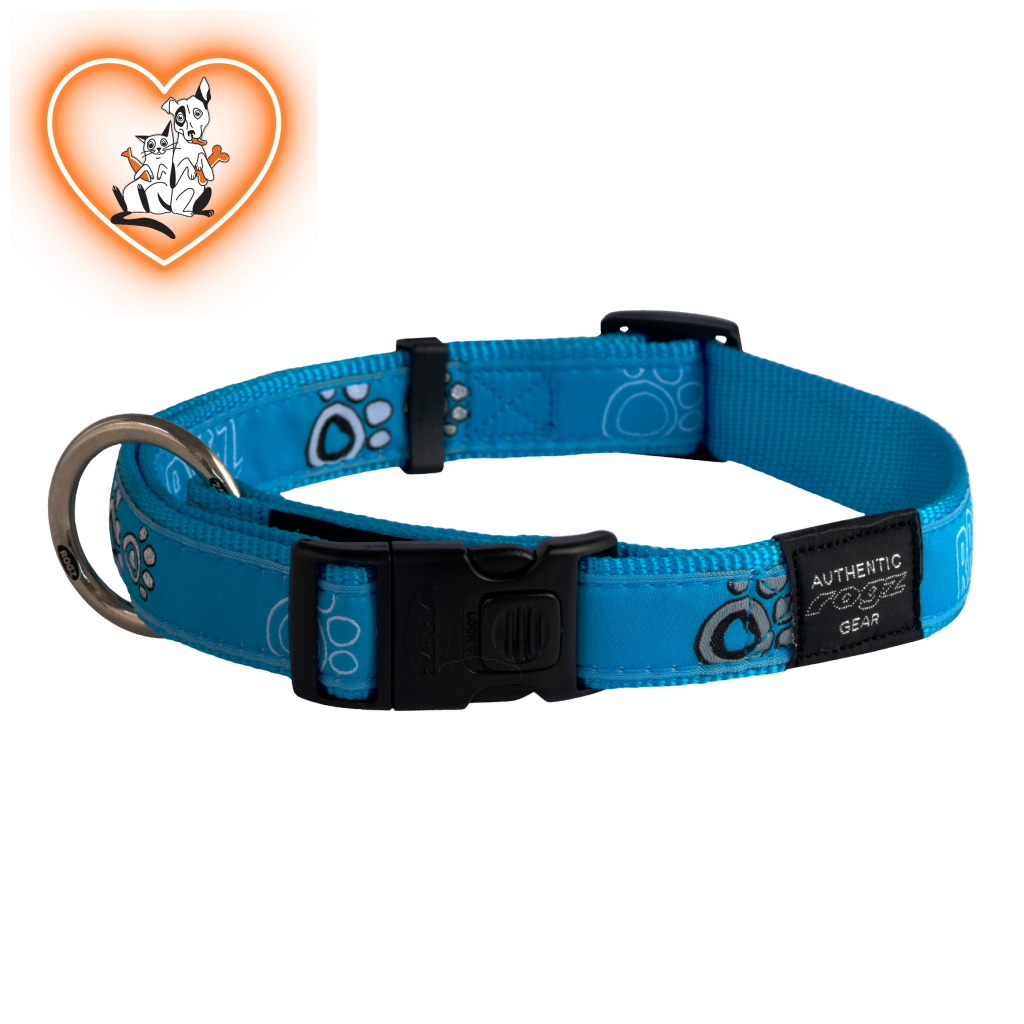 Rogz Collar - Turquoise Paw Extra Large Accessories