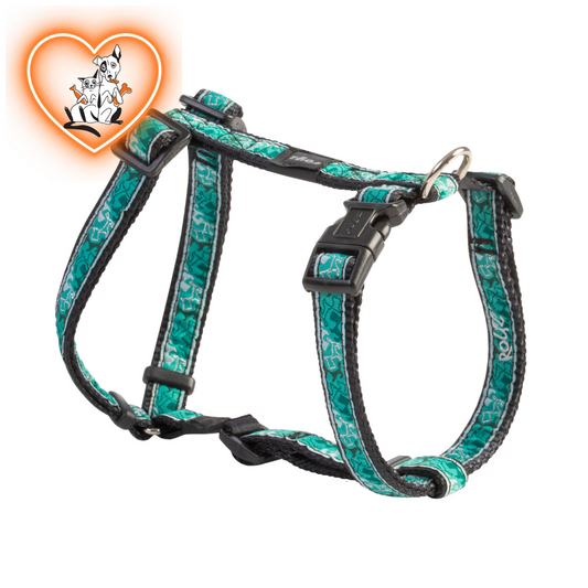 Rogz Harness Mint Dog / Small Accessories